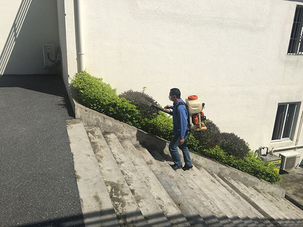 專業(yè)四害消殺服務，讓四害遠離您的生活